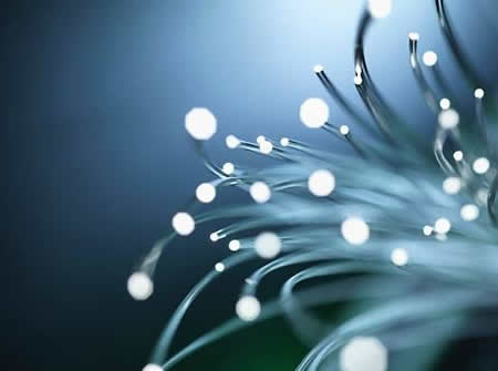 fiber optic slide 2