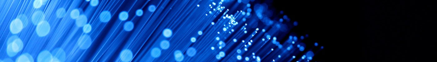 fiber optic slide